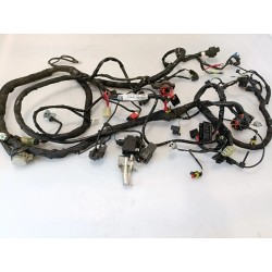Cablaggio impianto elettrico telaio Piaggio Liberty 125 3V i.e. (E5) Liberty 125 ABS 3V i.e. 