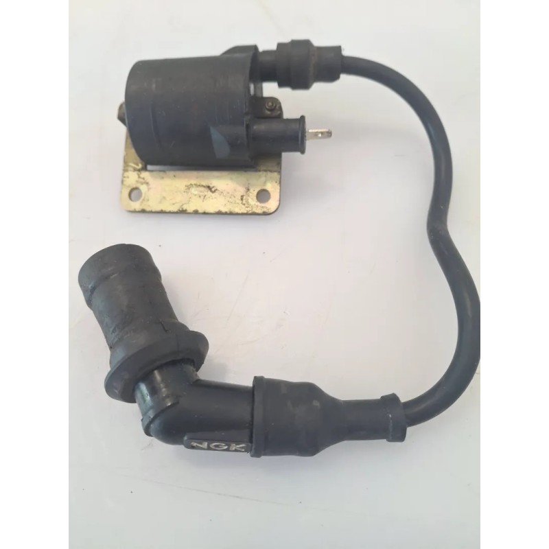 Bobina Piaggio Vespa 125 ET4 Vespa 125 ET4 Motore Piaggio NO Leader 