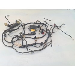 Cablaggio impianto elettrico telaio Piaggio Vespa 125 ET4 Vespa 125 ET4 Motore Piaggio NO Leader 