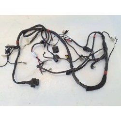 Cablaggio impianto elettrico telaio Malaguti F12-R Phantom 50 LC (07-) F12-R Phantom 50 LC 