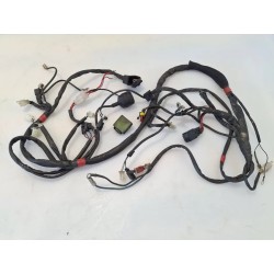 Cablaggio impianto elettrico telaio Malaguti F12-R Phantom 50 LC (07-) F12-R Phantom 50 LC 