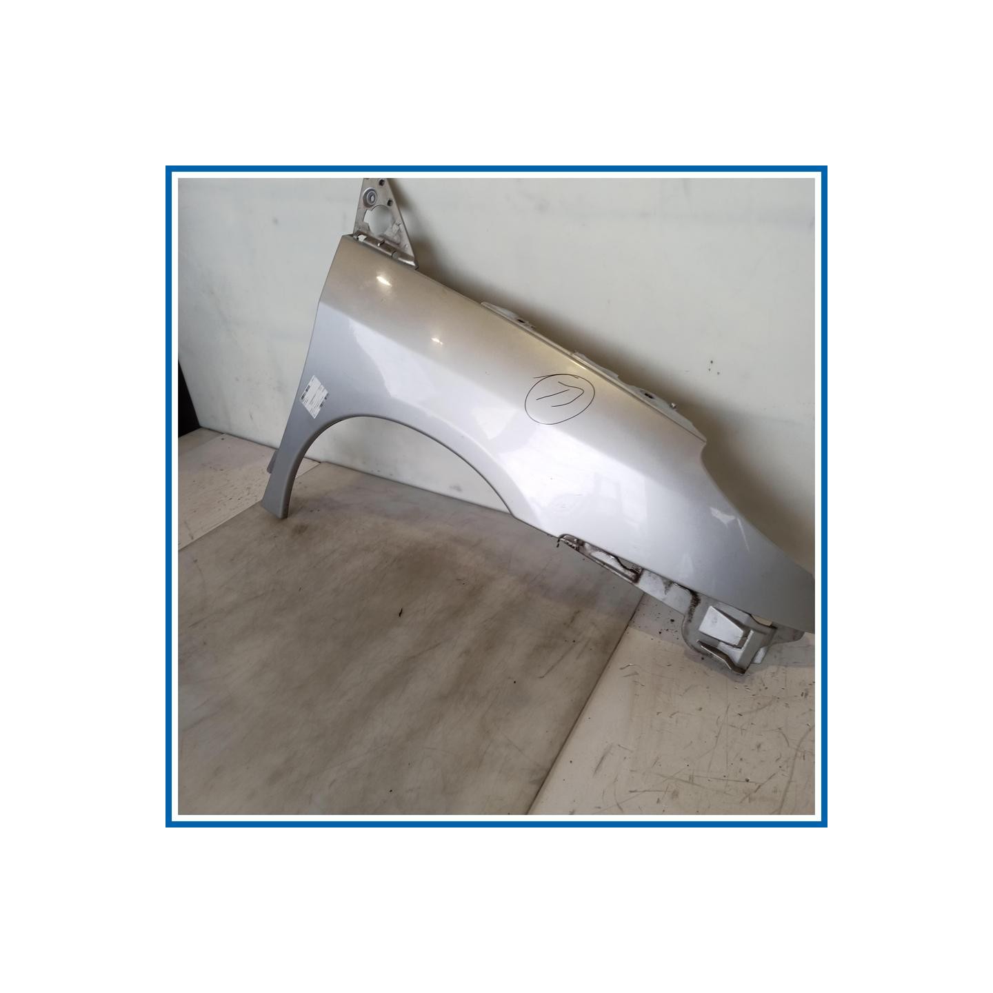 Parafango ant. sx. CITROEN C8