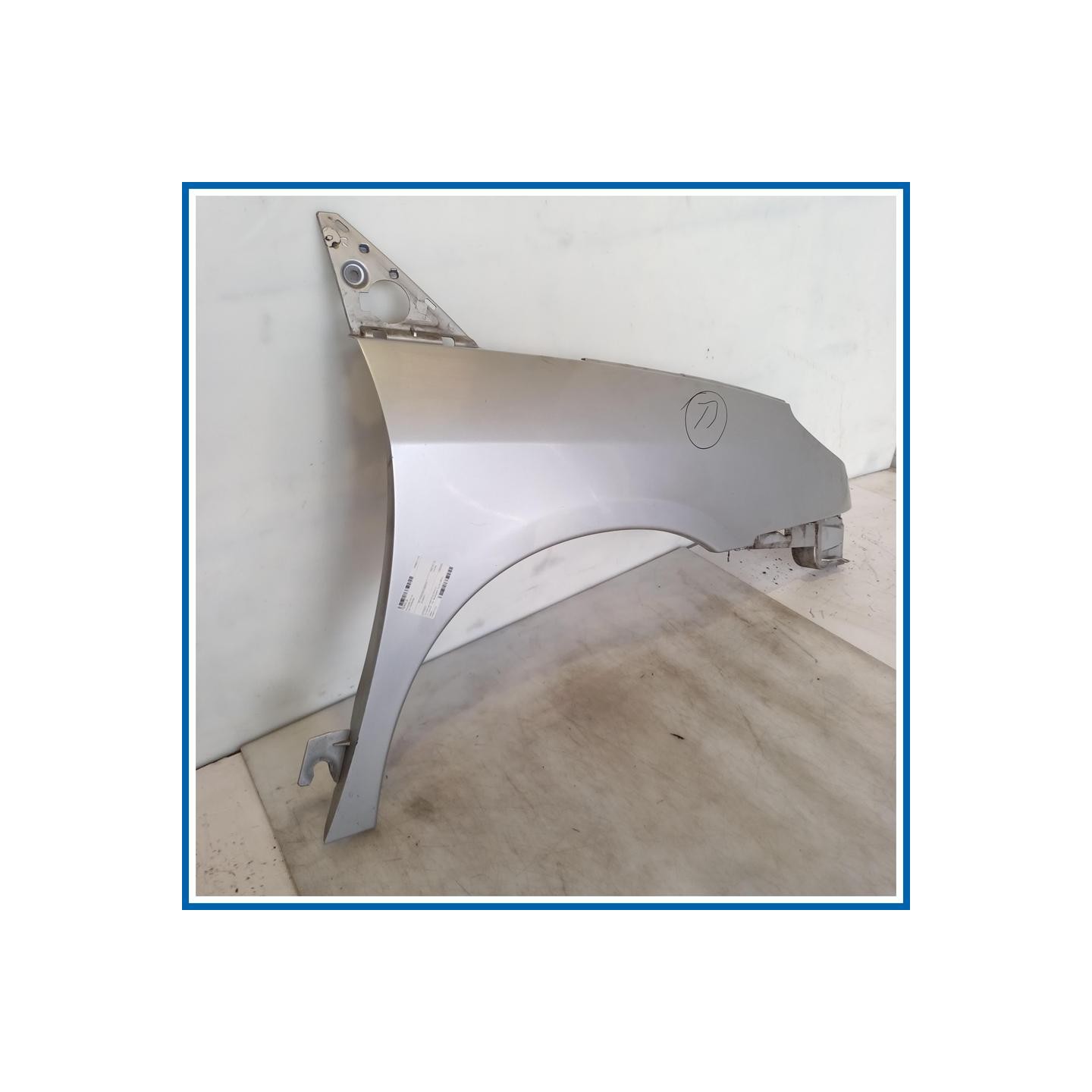 Parafango ant. sx. CITROEN C8