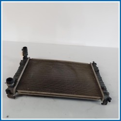 Radiatore acqua FORD Fiesta V