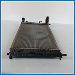 Radiatore acqua FORD Fiesta V