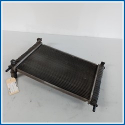 Radiatore acqua FORD Fiesta V