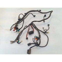 Cablaggio impianto elettrico telaio Yamaha Giggle Giggle 50 