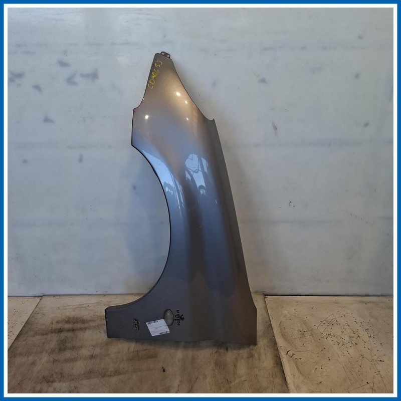 Parafango ant. sx. PEUGEOT 206 SW