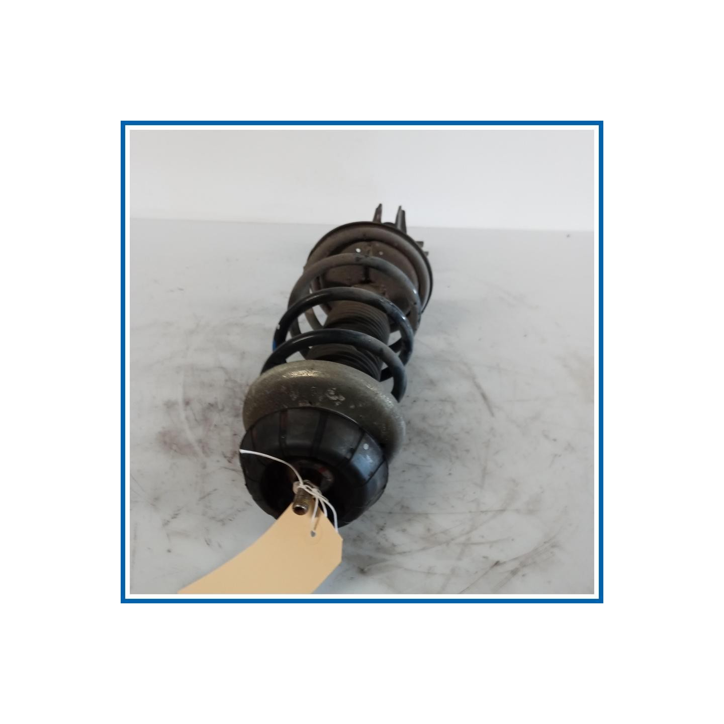 Ammortizzatore ant. sx. FIAT Sedici