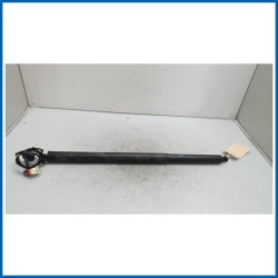Ammortizzatore portello post. dx. FORD Kuga III