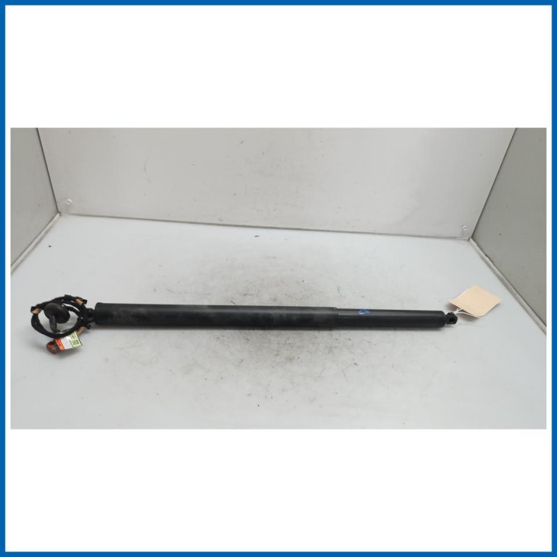 Ammortizzatore portello post. dx. FORD Kuga III