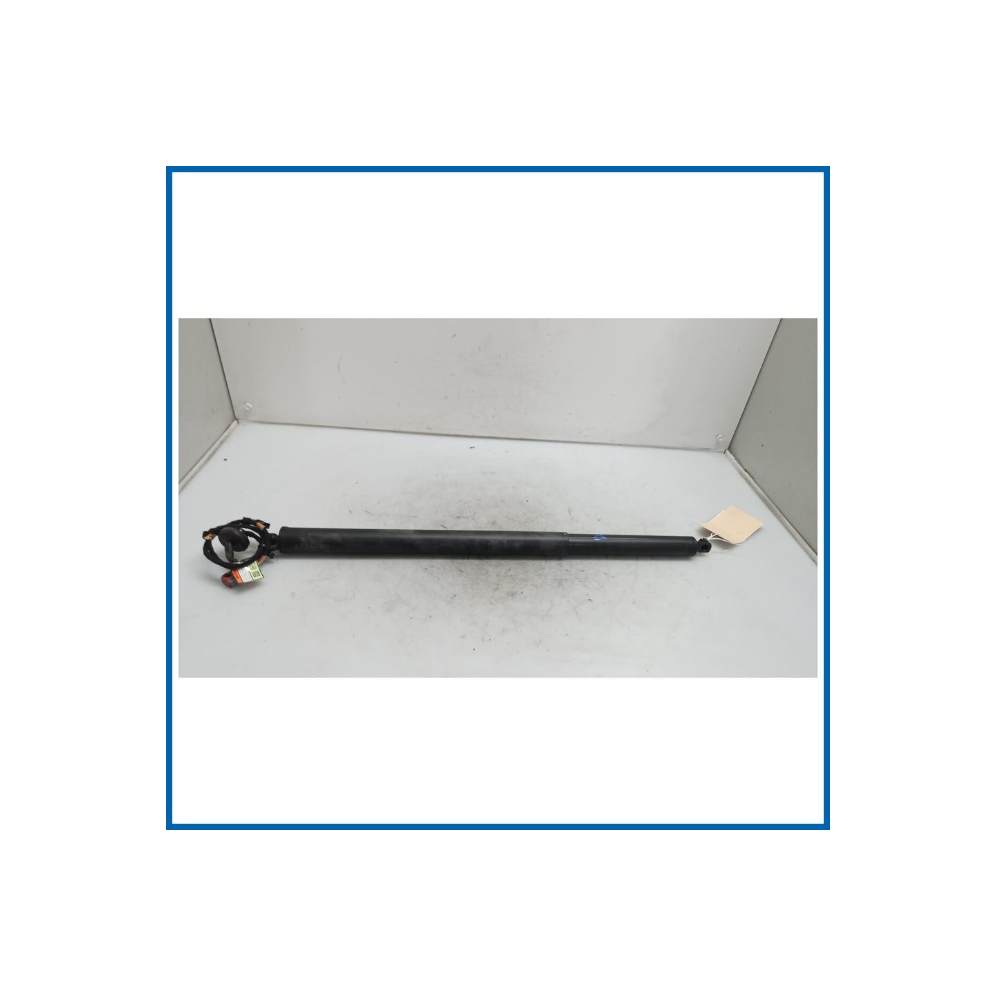 Ammortizzatore portello post. dx. FORD Kuga III