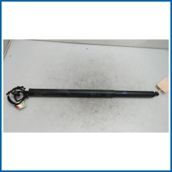 Ammortizzatore portello post. dx. FORD Kuga III
