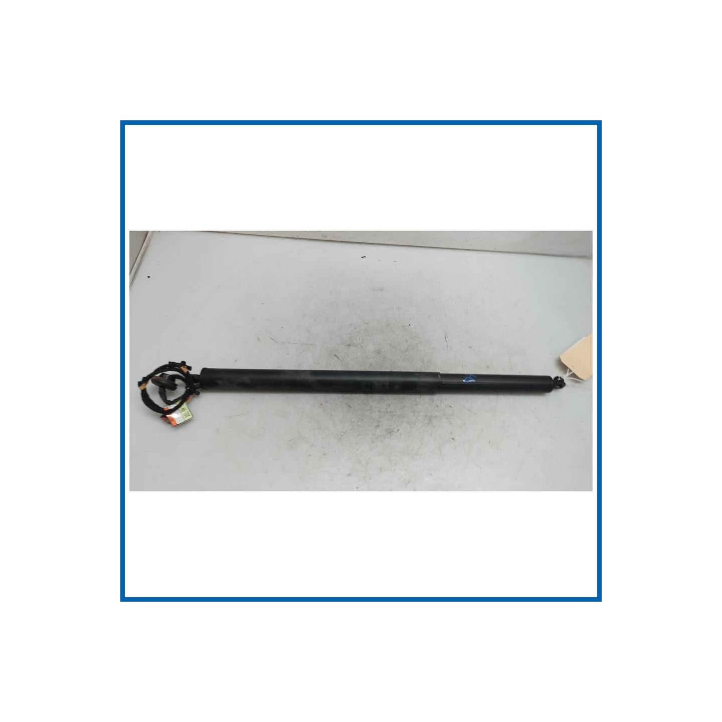 Ammortizzatore portello post. dx. FORD Kuga III