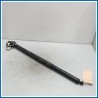 Ammortizzatore portello post. dx. FORD Kuga III