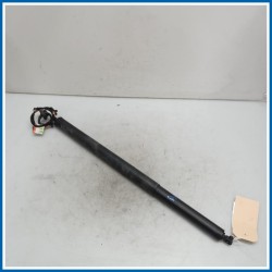 Ammortizzatore portello post. dx. FORD Kuga III