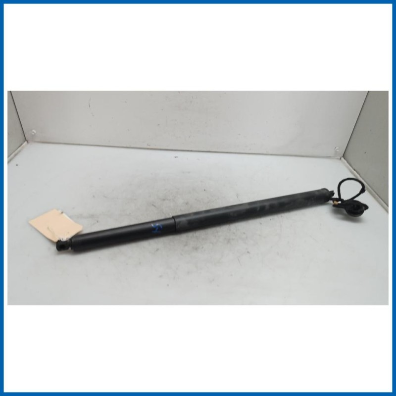 Ammortizzatore portello post. sx. FORD Kuga III