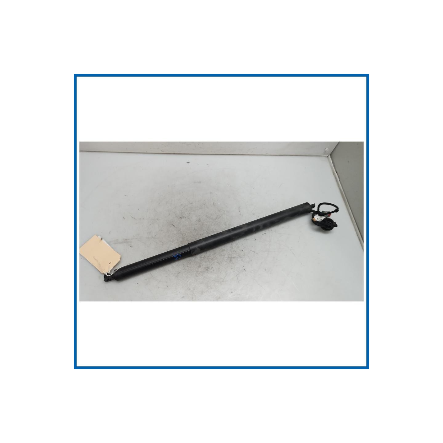 Ammortizzatore portello post. sx. FORD Kuga III