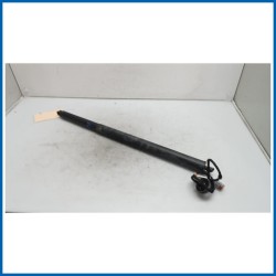 Ammortizzatore portello post. sx. FORD Kuga III