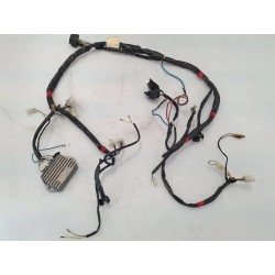Cablaggio impianto elettrico telaio Aprilia Scarabeo 50 2T (10-14) Scarabeo 50 2T Net (Motore Piaggio) 