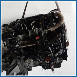 Motore semicompleto FORD Fiesta VI