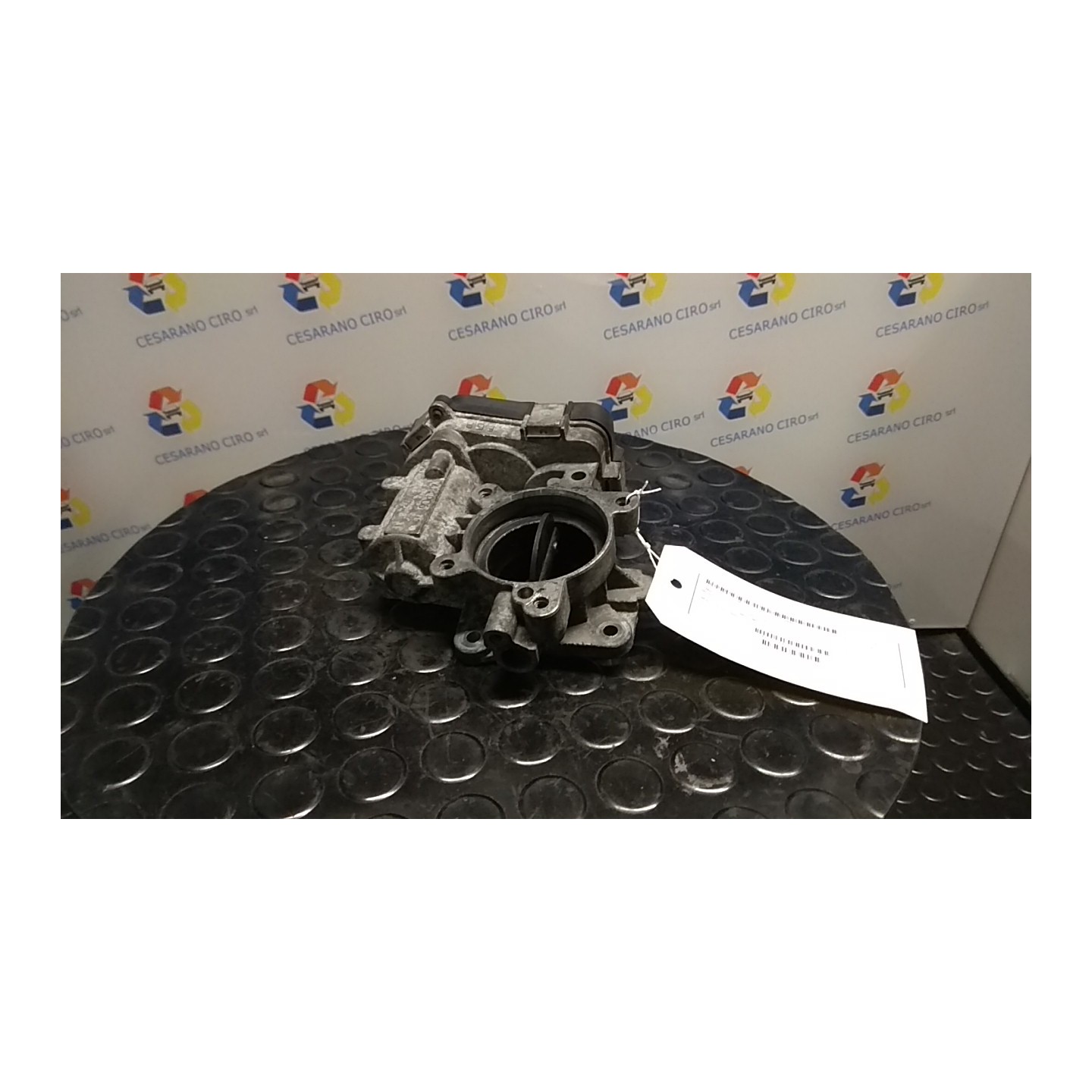 CORPO FARFALLATO 014 LANCIA THESIS (SJ) (06/02-04/08) 841P000 55222587