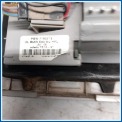 Fanale int. post. sx. BMW X3 E83