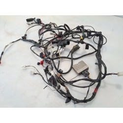 Cablaggio impianto elettrico telaio Piaggio Vespa 50 LX 4T (09-14) Vespa 50 LX 4T 4V 