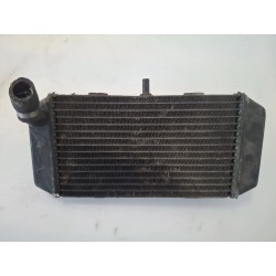 Radiatore Yamaha Majesty 400 Majesty 400 doppio disco ant. (E2) 