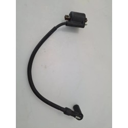 Bobina Mbk Flipper 50 Flipper 50 (E0) 