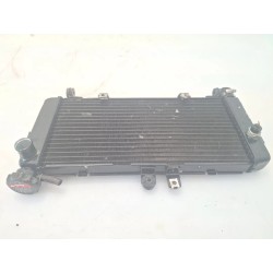 Radiatore Honda CBF 600 (E2) CBF 600 