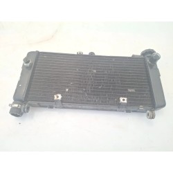 Radiatore Honda CBF 600 (E2) CBF 600 