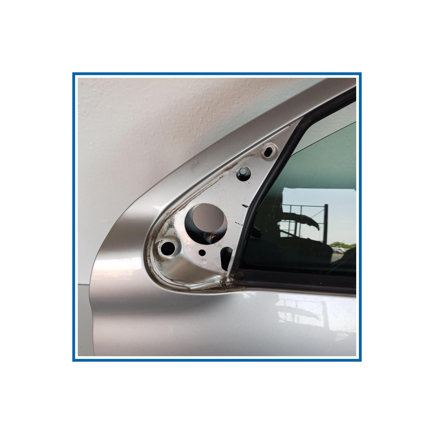 Porta ant. sx. PEUGEOT 206 +