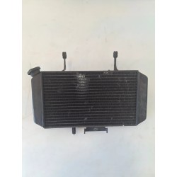 Radiatore Suzuki DL 650 V Strom (E2) DL 650 V Strom 