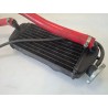 Radiatore Beta RR Motard 50 (E2) (11-) RR Motard 50 Standard 