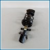 Ammortizzatore ant. sx. RENAULT Modus
