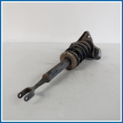 Ammortizzatore ant. sx. AUDI A4 8ED Avant