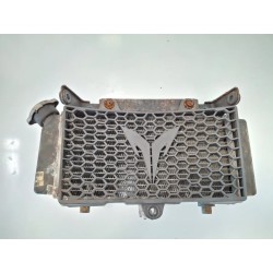 Radiatore Sym SB 250 SB 250 Ni 