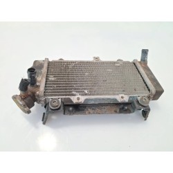 Radiatore Sym SB 250 SB 250 Ni 