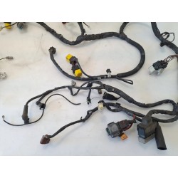 Cablaggio impianto elettrico telaio Piaggio Beverly 500 (E3) Beverly 500 