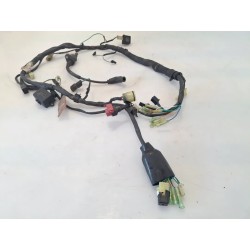 Cablaggio impianto elettrico telaio Honda CLR 125 Cityfly CLR 125 City fly (2000-2001) 