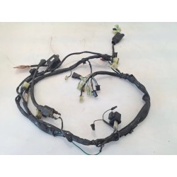 Cablaggio impianto elettrico telaio Honda CLR 125 Cityfly CLR 125 City fly (2000-2001) 