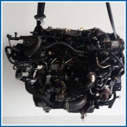 Motore semicompleto FORD Fiesta VI