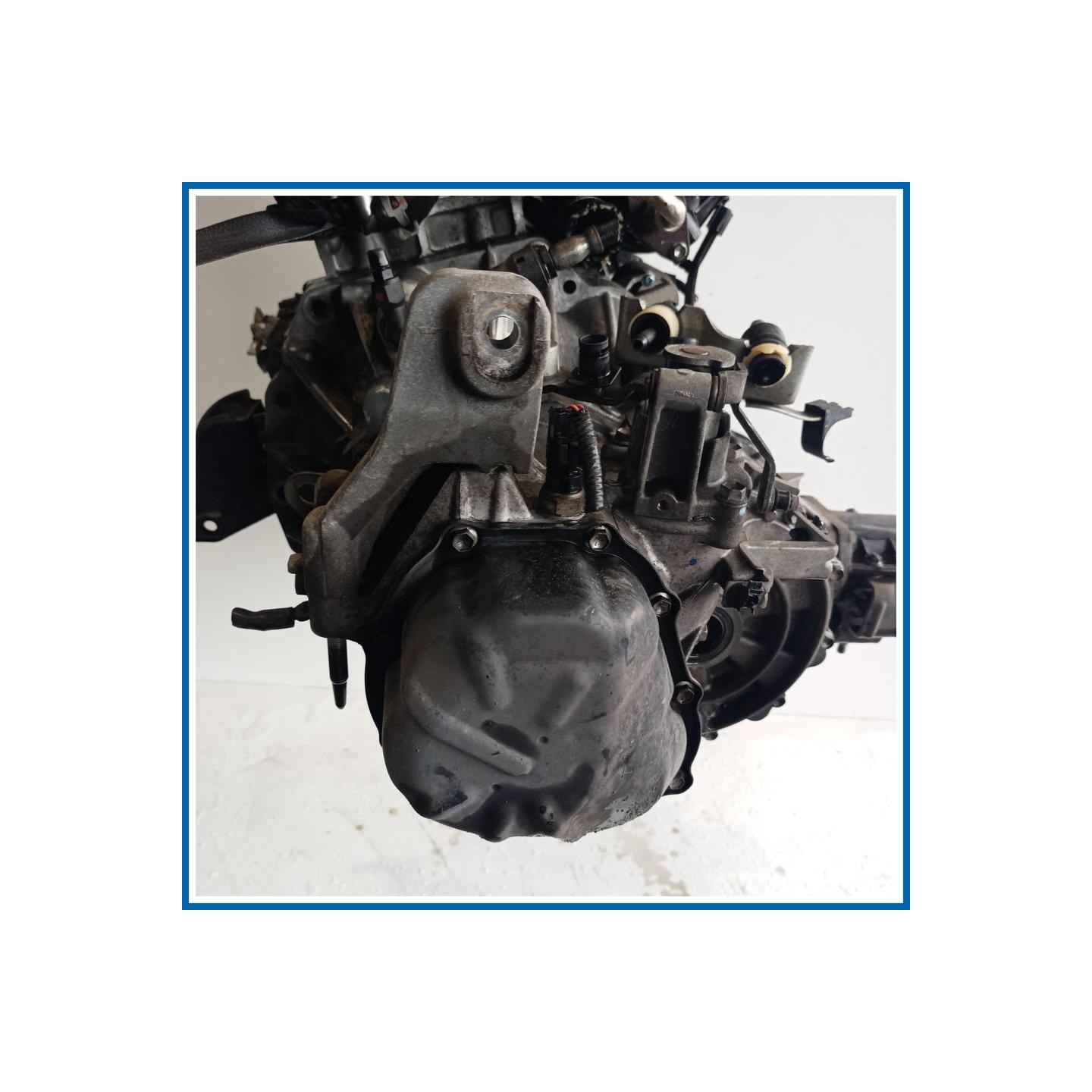 Cambio FIAT Sedici
