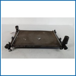 Radiatore acqua FORD Fiesta V