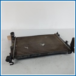 Radiatore acqua FORD Fiesta V