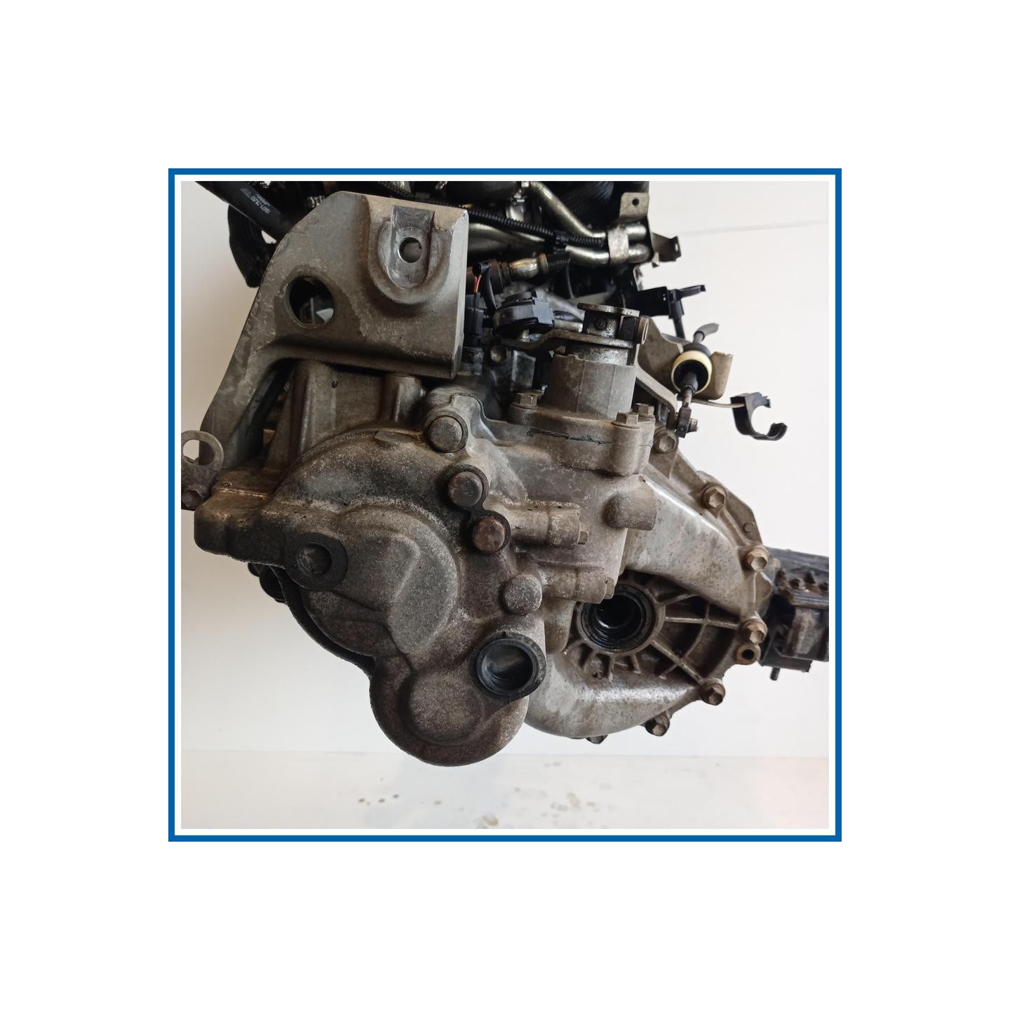 Cambio FIAT Sedici