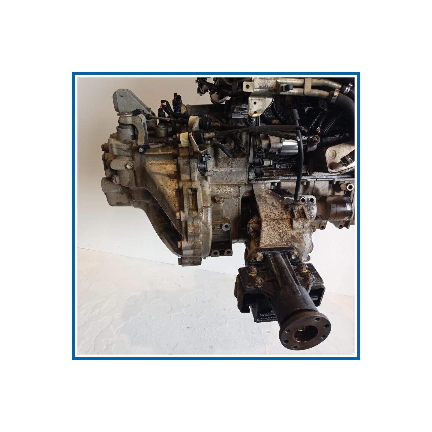 Cambio FIAT Sedici