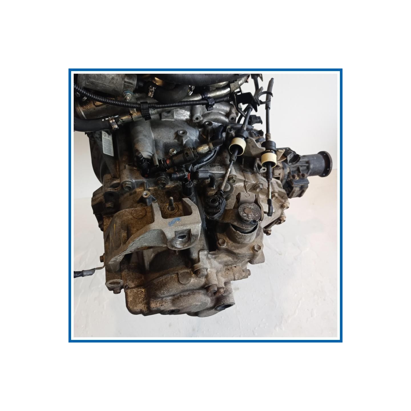 Cambio FIAT Sedici