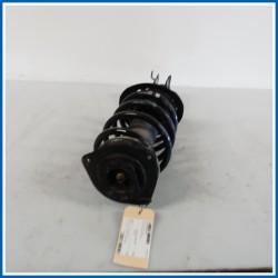 Ammortizzatore ant. dx. NISSAN Qashqai I